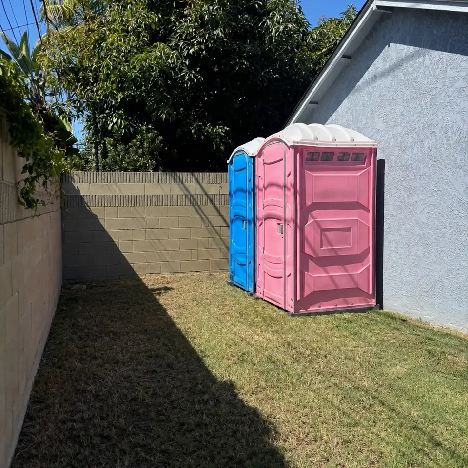 A blue and a pink standard porta potty set on the grass beside a home for a backyard party